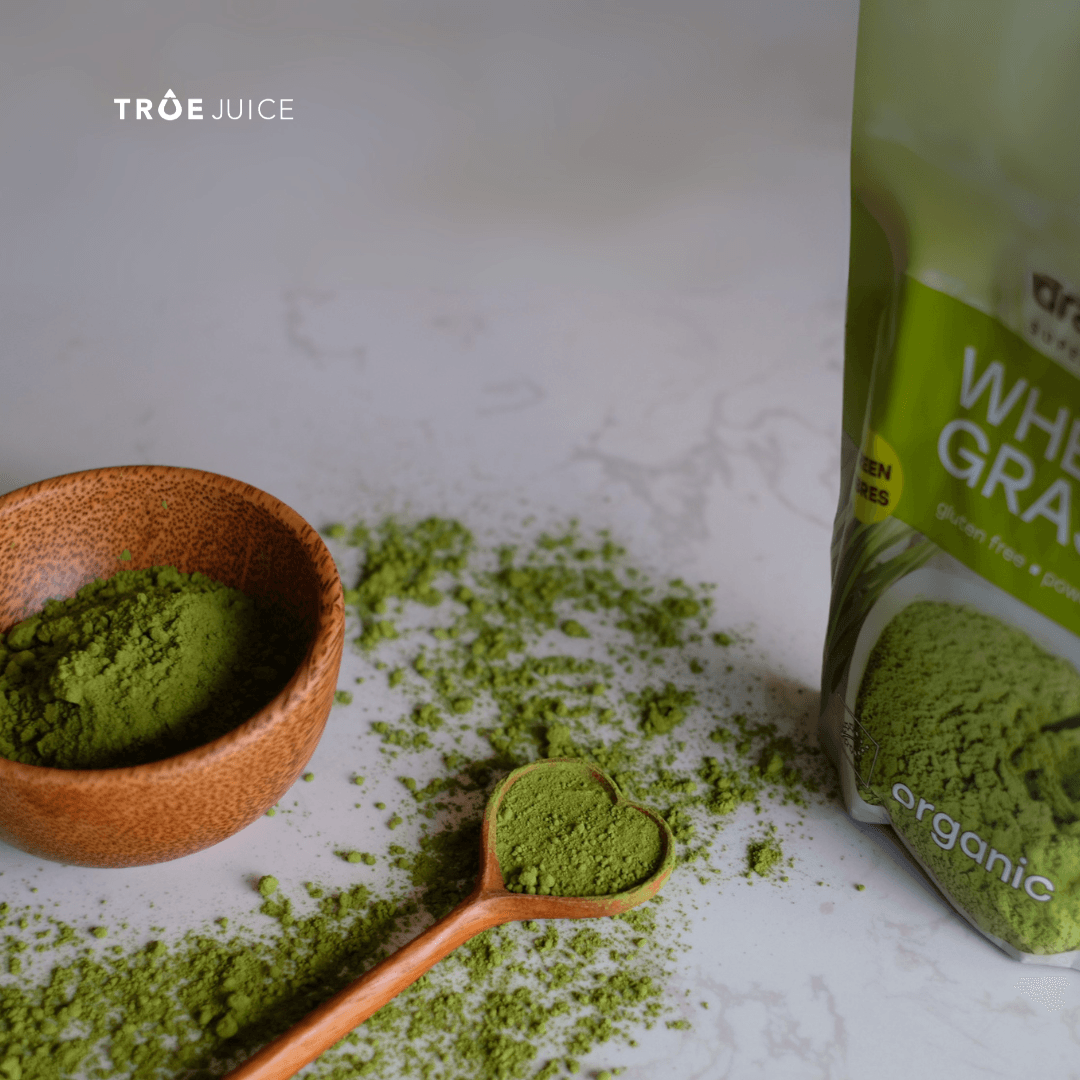 Ảnh sản phẩm Bột cỏ lúa mỳ Dragon Wheatgrass Superfood - ảnh 2