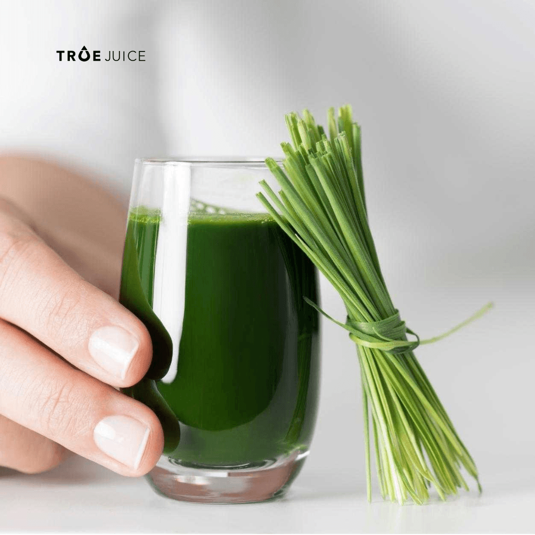 Ảnh sản phẩm Bột cỏ lúa mỳ Dragon Wheatgrass Superfood - ảnh 4