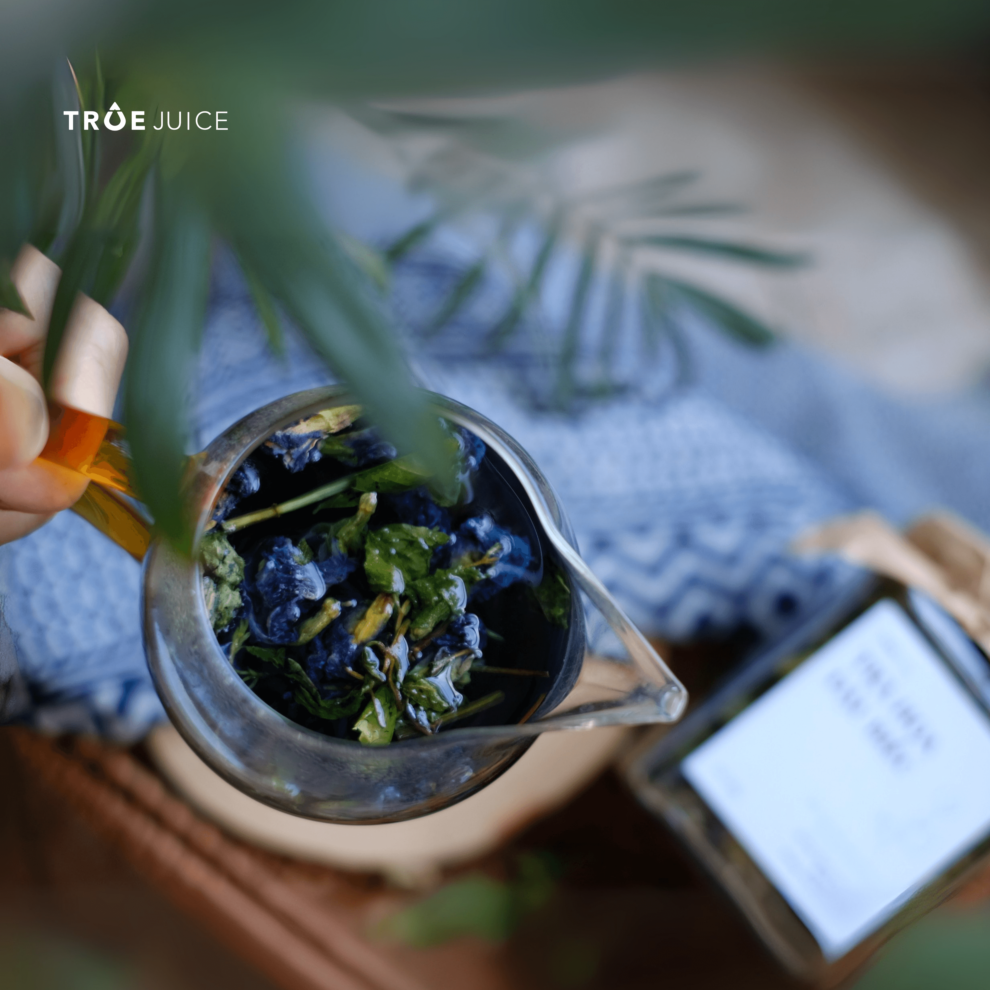 Ảnh sản phẩm Trà hoa đậu biếc - ảnh 3