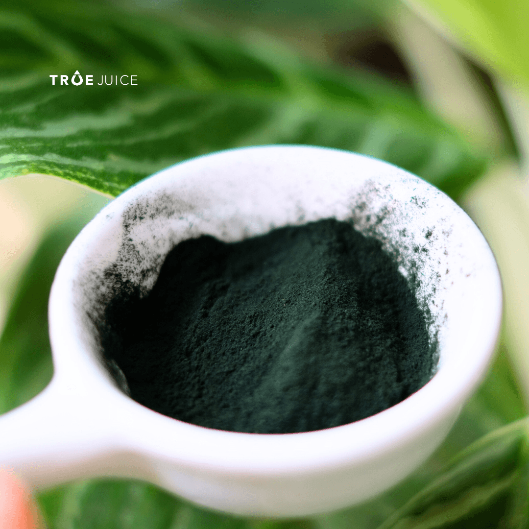 Ảnh sản phẩm Bột tảo Spirulina hữu cơ - ảnh 2
