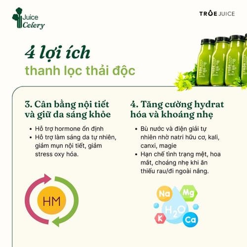 Celery Juice - ảnh 3