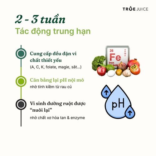 Juice Daily - ảnh 5