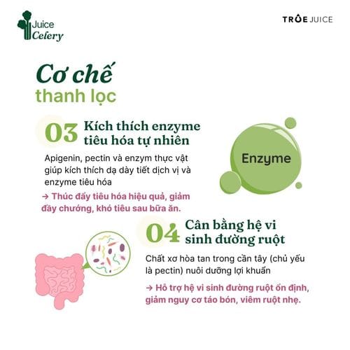 Celery Juice - ảnh 6