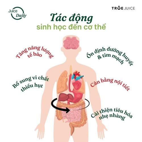 Juice Daily - ảnh 7
