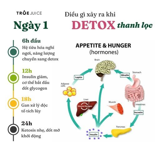 Juice Cleanse - ảnh 7
