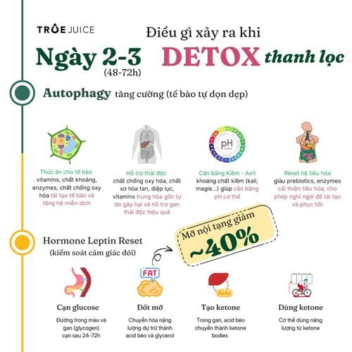 Juice Cleanse - ảnh 8