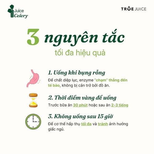 Celery Juice - ảnh 8