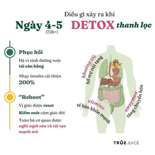 Juice Cleanse - ảnh 9