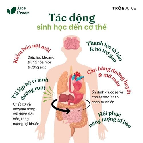 Green Juice - ảnh 10