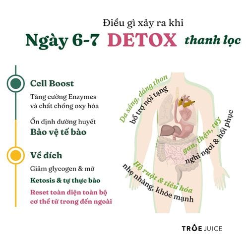 Juice Cleanse - ảnh 10